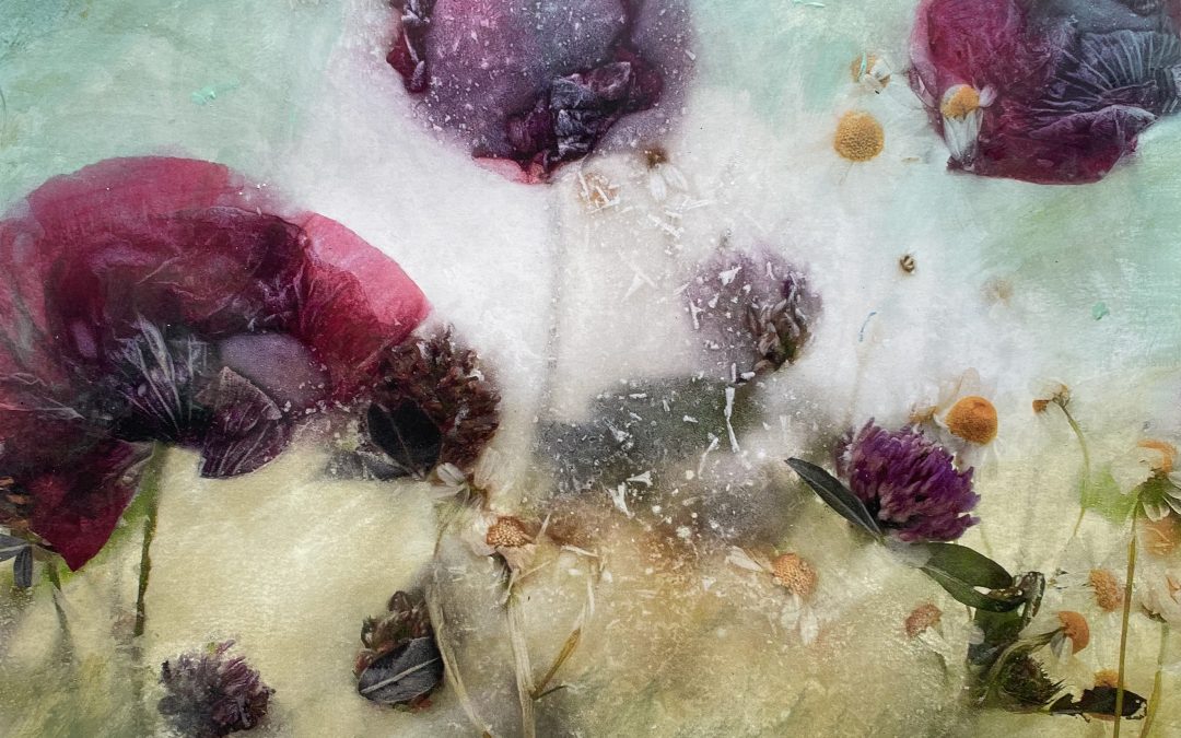 Expositie Frozen Flowers – Ems Willems